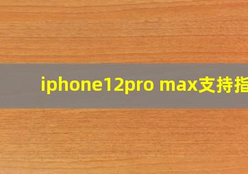 iphone12pro max支持指纹